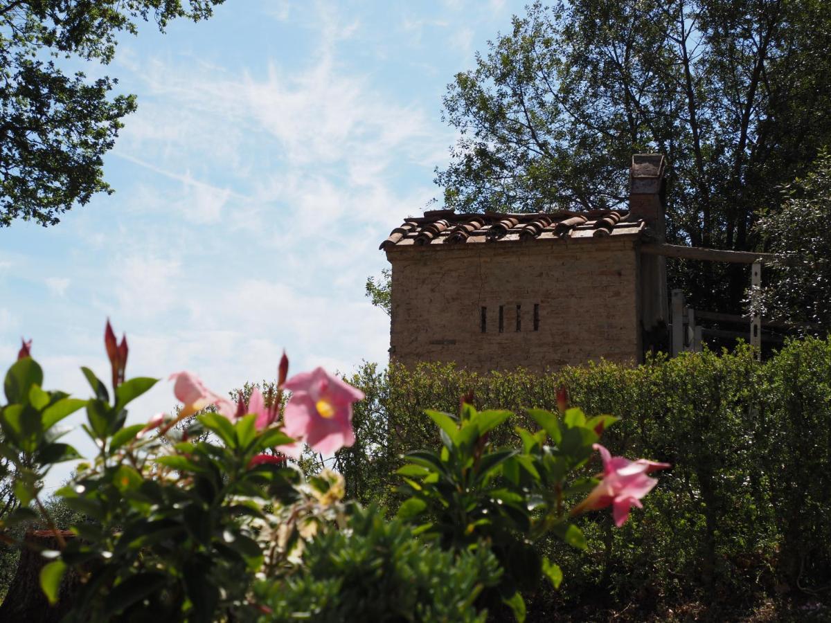 Villa Orsini Peccioli - Villa Storica Ad Uso Esclusivo Con Piscina ภายนอก รูปภาพ