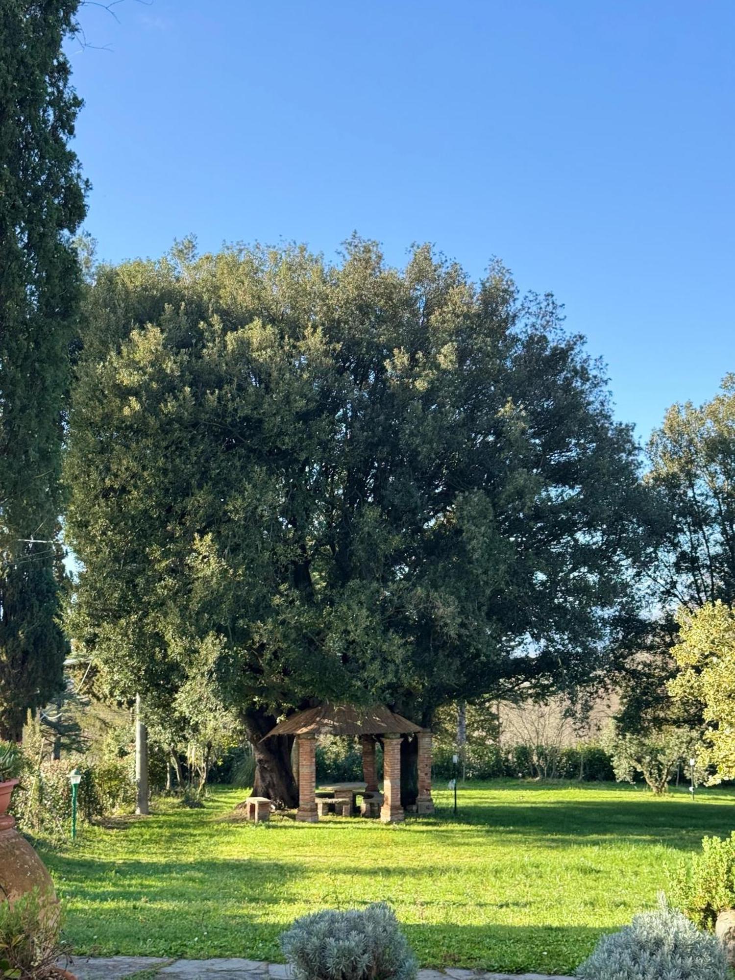 Villa Orsini Peccioli - Villa Storica Ad Uso Esclusivo Con Piscina ภายนอก รูปภาพ